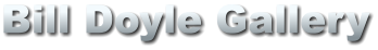 Bill Doyle Gallery